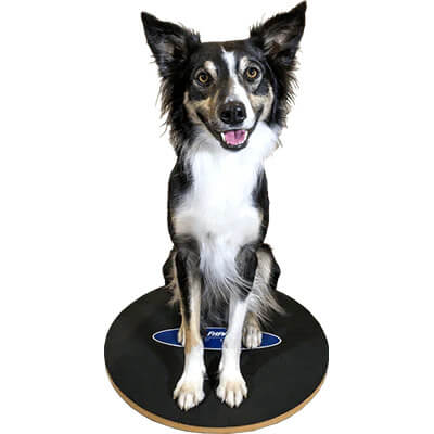 FitPAWS Wobble Board - 20 in. - Clean Run